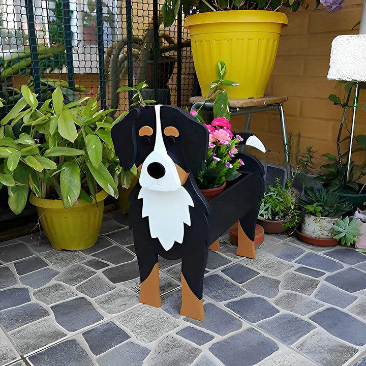 Berner Sennenhund Blumenpot