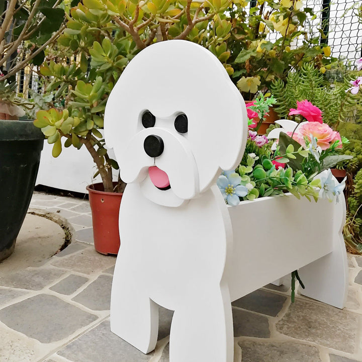 Bichon Frisé Pflanzengefäß