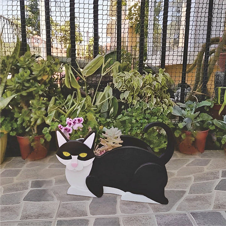Schwarz-weiße Katzen-Blumentopf