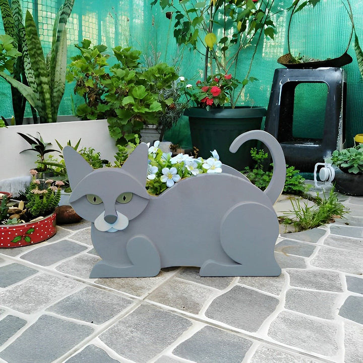 Blumentopf mit Britisch Kurzhaar Katze