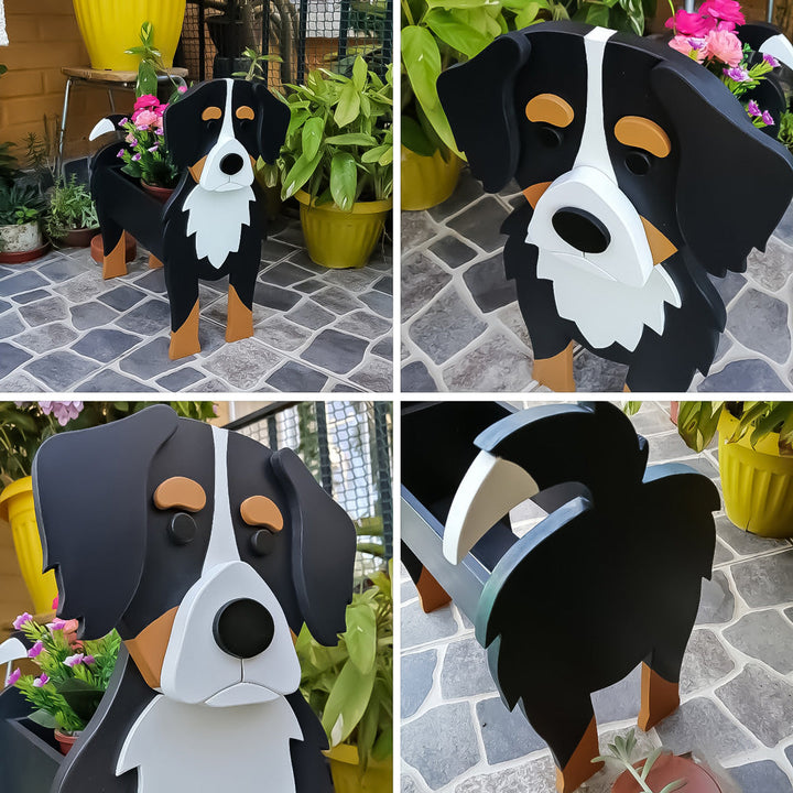 Berner Sennenhund Blumenpot