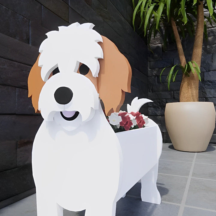 Cavachon Flower Pot