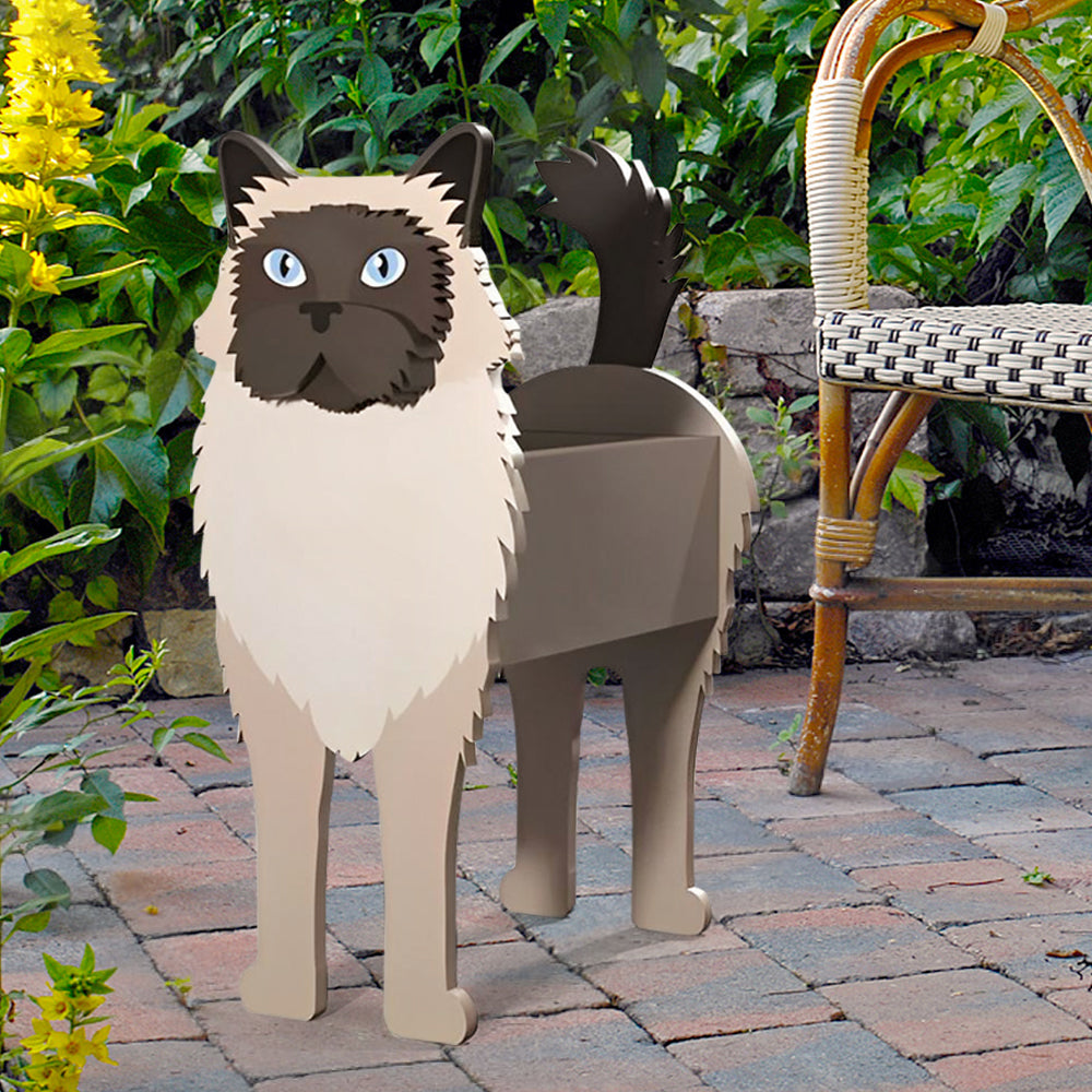 Birma-Katze Pflanzgefäß