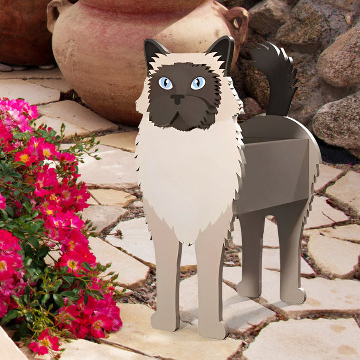Birma-Katze Pflanzgefäß