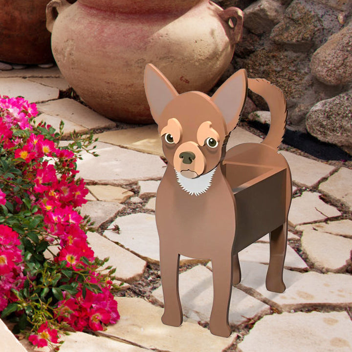 Chihuahua Blumen Topf