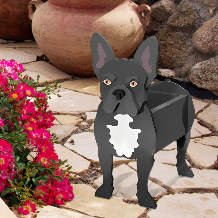 Blumentopf mit Französischer Bulldogge