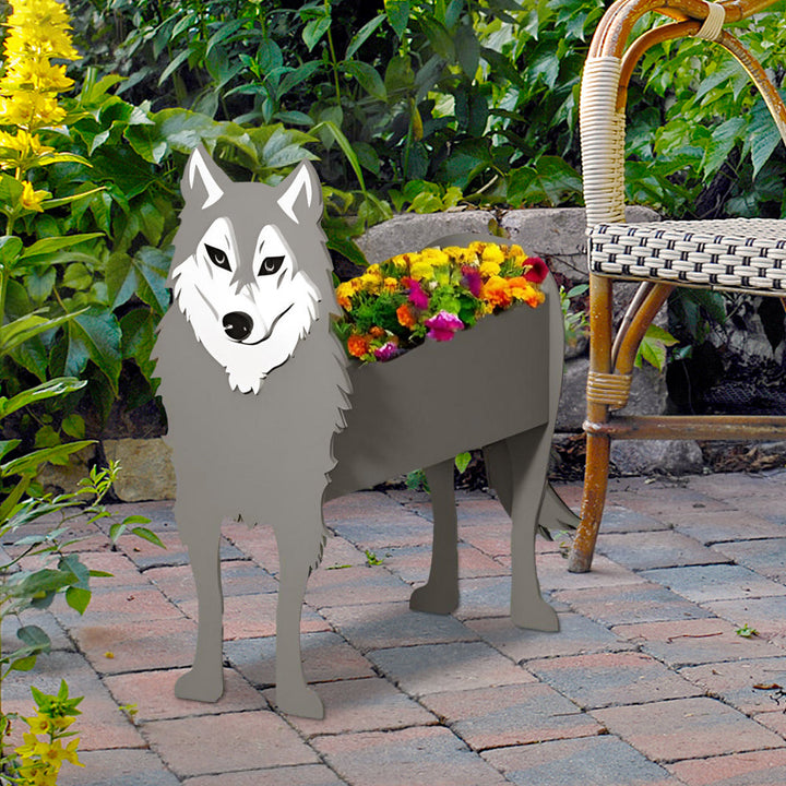 Grauer Wolf Pflanzgefäß