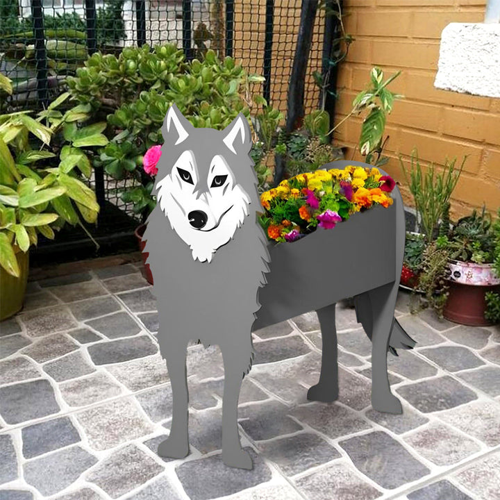 Grauer Wolf Pflanzgefäß