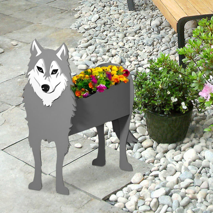 Grauer Wolf Pflanzgefäß
