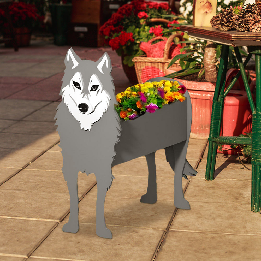 Grauer Wolf Pflanzgefäß