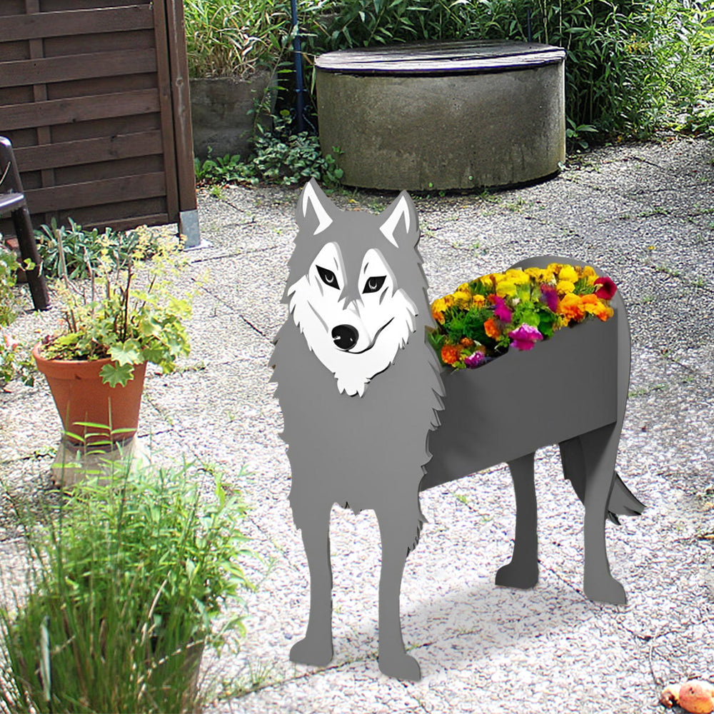 Grauer Wolf Pflanzgefäß