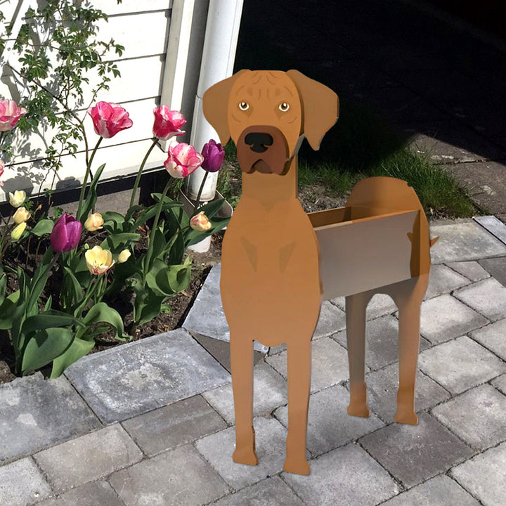 Rhodesian Ridgeback Planter