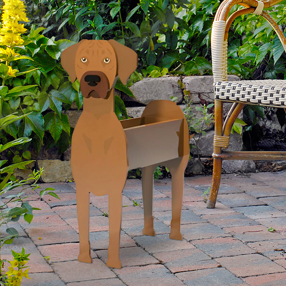 Rhodesian Ridgeback Planter