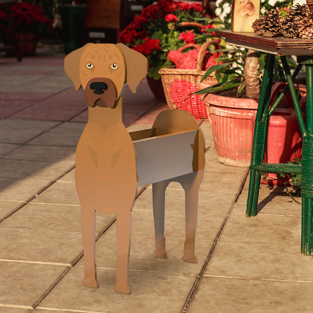 Rhodesian Ridgeback Planter