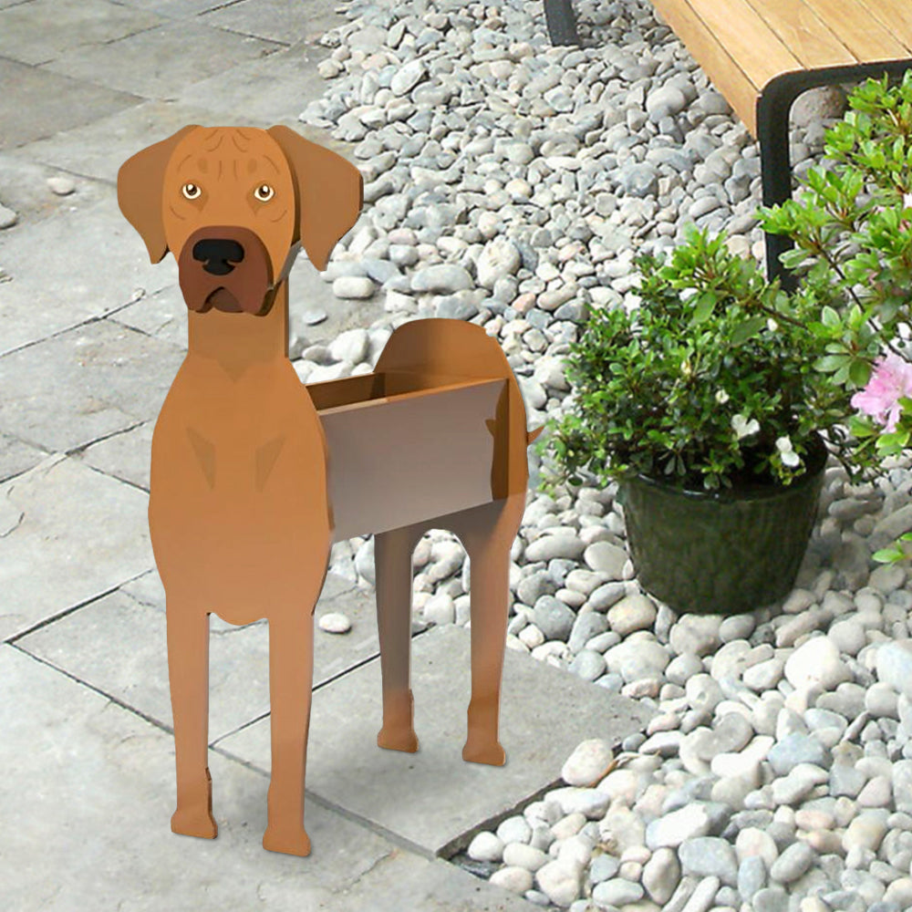 Rhodesian Ridgeback Planter