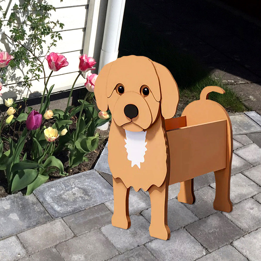 Cavoodle Pflanzgefäß