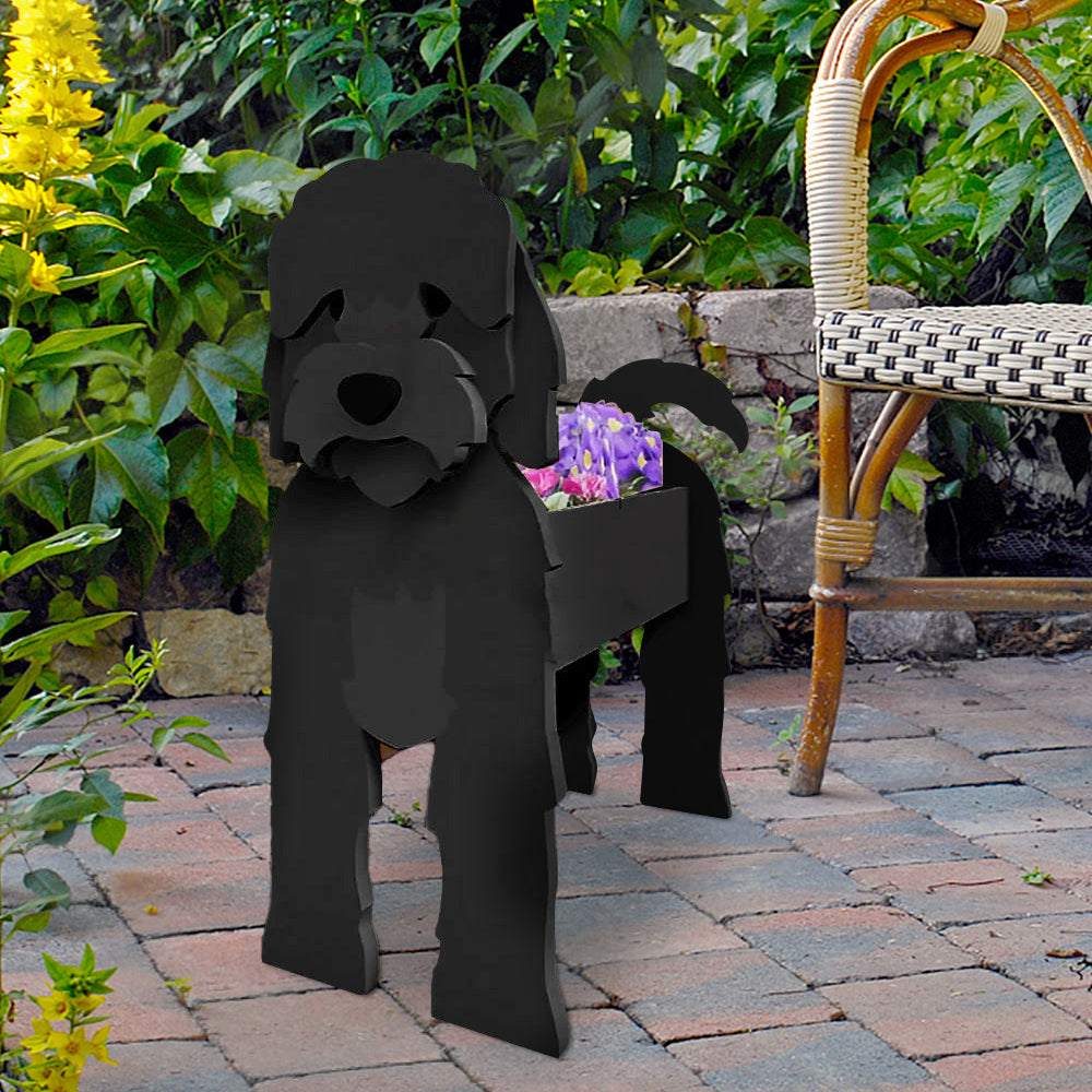 Schwarzer Cockapoo Blumentopf