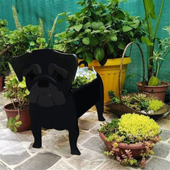 Schwarz