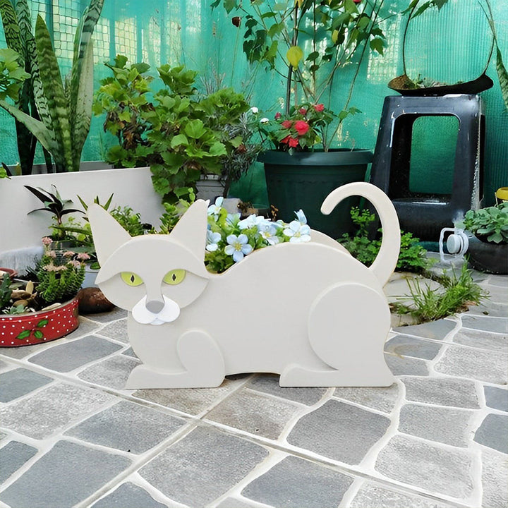 Blumentopf mit weißer Katze