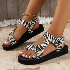 Schwarz Zebra