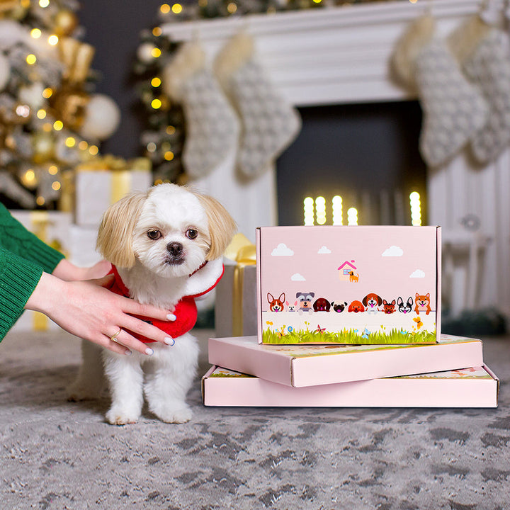 Bichon Frisé Pflanzengefäß