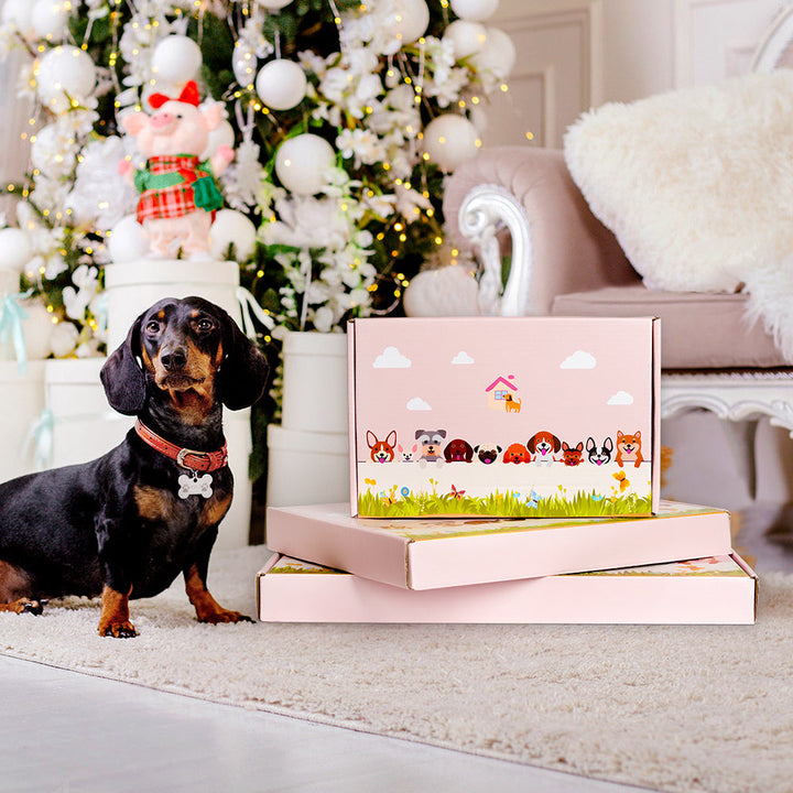 Cavalier King Planter
