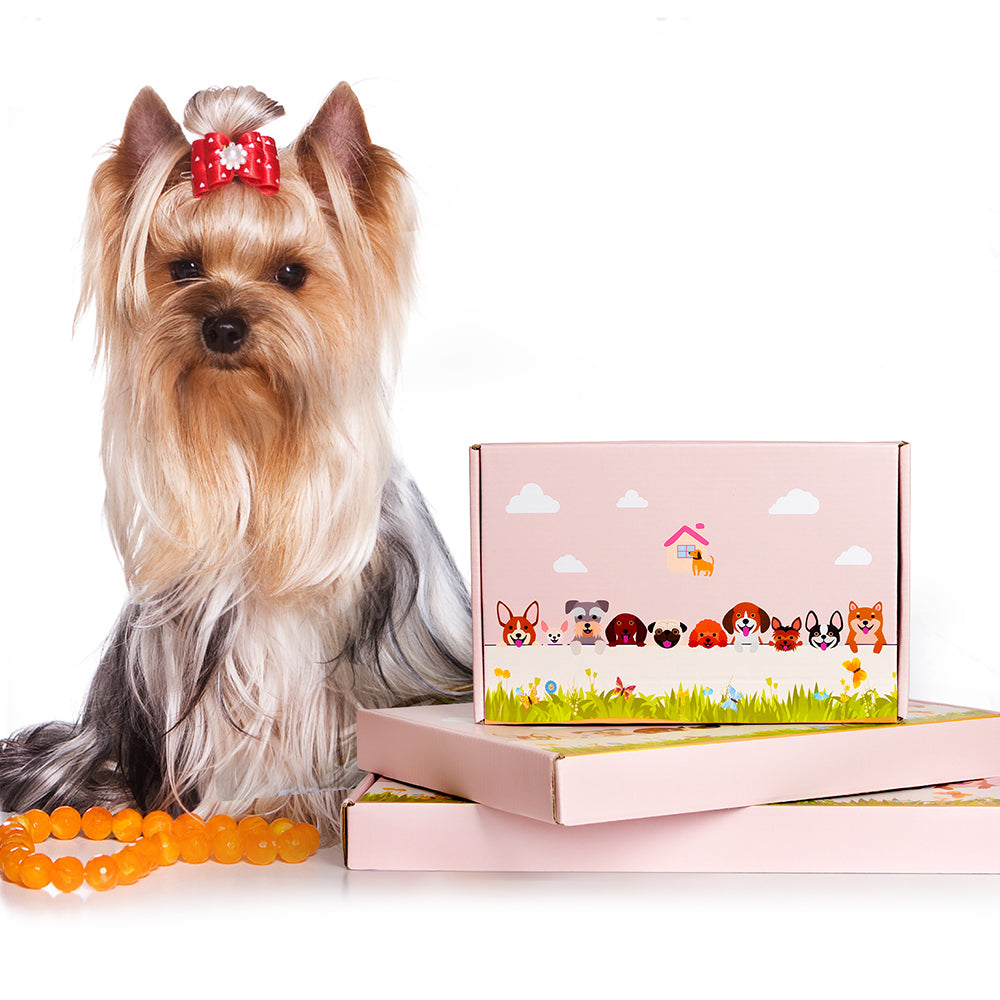 Cairn Terrier Flower Pot