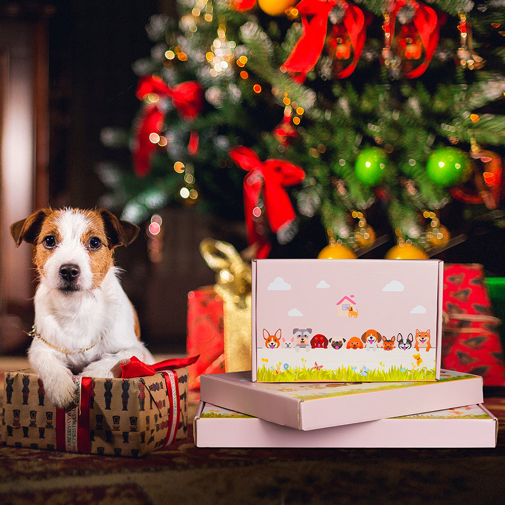Jack Russell Terrier Flower Pot